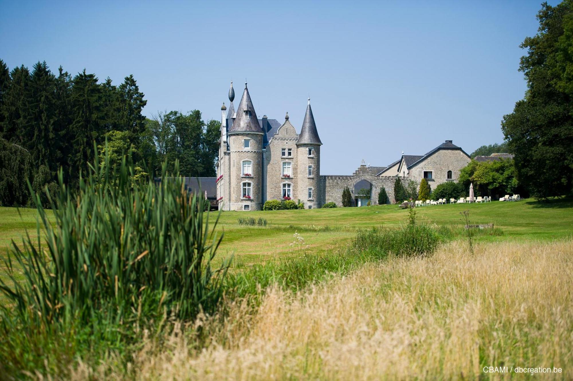 Chateau D'Hassonville Aye Exterior foto