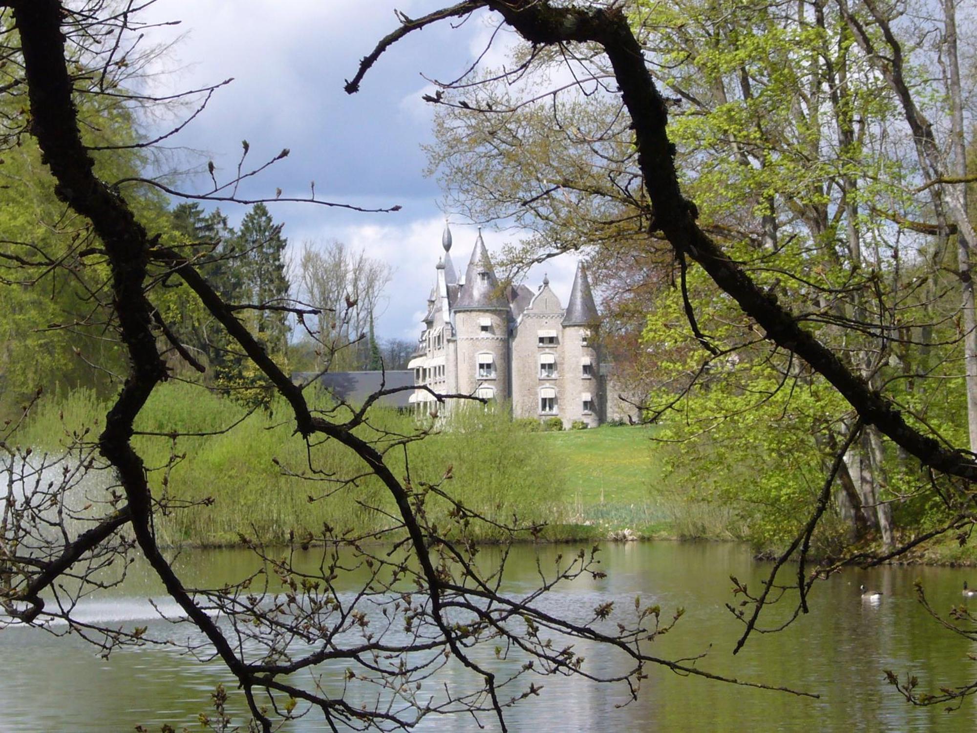 Chateau D'Hassonville Aye Exterior foto